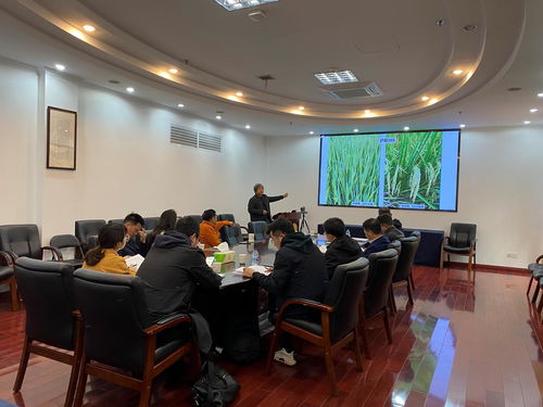 上海市科技興農(nóng)技術創(chuàng)新項目“優(yōu)質高效兩系節(jié)水抗旱稻新品種的培育與應用”通過驗收