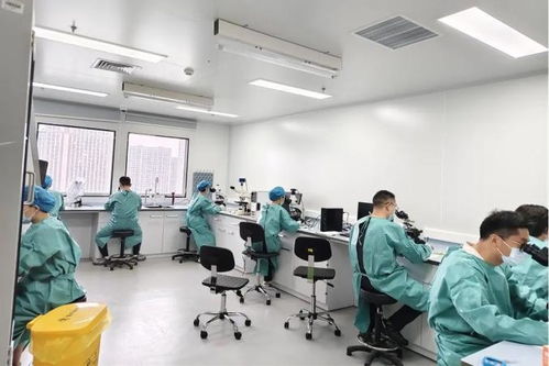 嘉實力全開！嘉定區(qū)在全市疾病預防控制職業(yè)技能競賽中包攬多個獎項